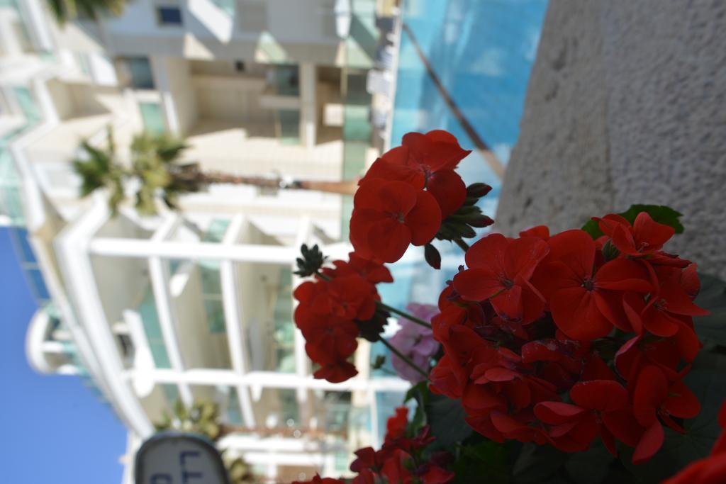 La Palmora Apartment